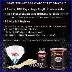 HOT ROD FLATZ Silver Aqua Metallic Quart Kit URETHANE Flat Auto Car Paint Kit